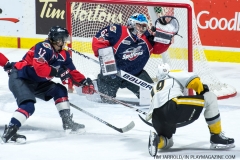 Windsor Spitfires vs Sarnia Sting March 29 2018 (17)