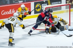 Windsor Spitfires vs Sarnia Sting March 29 2018 (19)