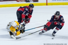 Windsor Spitfires vs Sarnia Sting March 29 2018 (20)