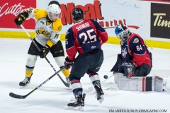 Windsor Spitfires vs Sarnia Sting March 29 2018 (22)