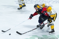 Windsor Spitfires vs Sarnia Sting March 29 2018 (24)