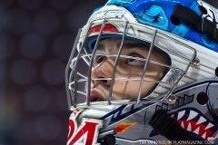 Windsor Spitfires vs Sarnia Sting March 29 2018 (3)