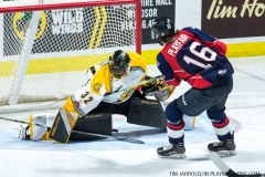 Windsor Spitfires vs Sarnia Sting March 29 2018 (31)