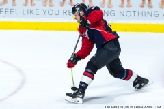 Windsor Spitfires vs Sarnia Sting March 29 2018 (39)