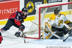 Windsor Spitfires vs Sarnia Sting March 29 2018 (8)