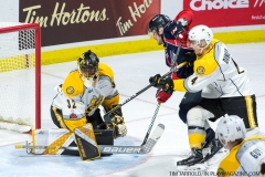 Windsor Spitfires vs Sarnia Sting March 29 2018 (9)