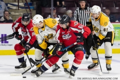 Sarnia-Sting-vs-Windsor-Spitfires-Sept-15-2019-16