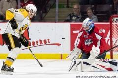 Sarnia-Sting-vs-Windsor-Spitfires-Sept-15-2019-25
