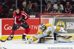 Sarnia-Sting-vs-Windsor-Spitfires-Sept-15-2019-5