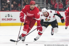 Red Wings vs Senators 12-14-2018  (1)