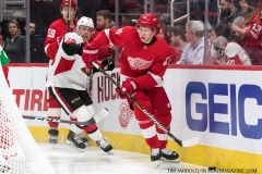 Red Wings vs Senators 12-14-2018  (10)