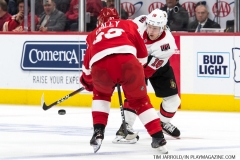 Red Wings vs Senators 12-14-2018  (15)