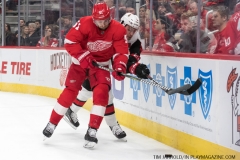 Red Wings vs Senators 12-14-2018  (34)
