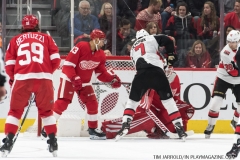 Red Wings vs Senators 12-14-2018  (7)