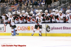 February 1st 2020, Toronto defeats Ottawa 2-1 in overtime. Luke Durda/In Play! Magazine