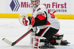 Red Wings vs Senators Feb 14 2019 (1)