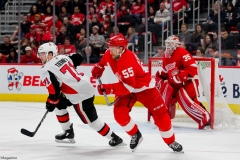 Red Wings vs Senators Feb 14 2019 (10)