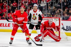 Red Wings vs Senators Feb 14 2019 (11)