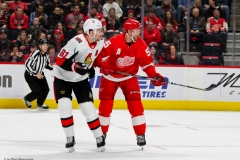 Red Wings vs Senators Feb 14 2019 (14)