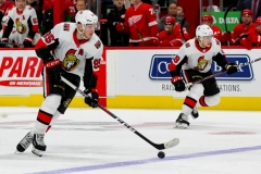 Red Wings vs Senators Feb 14 2019 (15)