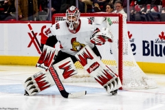 Red Wings vs Senators Feb 14 2019 (18)