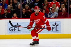 Red Wings vs Senators Feb 14 2019 (23)