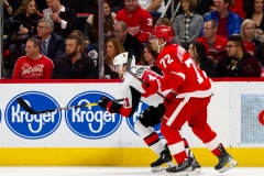 Red Wings vs Senators Feb 14 2019 (24)