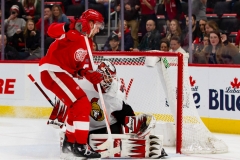 Red Wings vs Senators Feb 14 2019 (25)