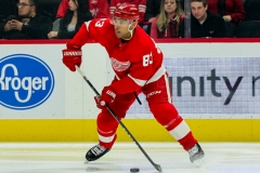 Red Wings vs Senators Feb 14 2019 (3)