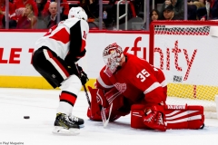 Red Wings vs Senators Feb 14 2019 (33)