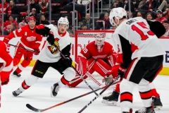Red Wings vs Senators Feb 14 2019 (34)