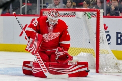 Red Wings vs Senators Feb 14 2019 (4)