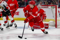 Red Wings vs Senators Feb 14 2019 (5)