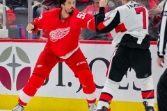 Red Wings vs Senators Feb 14 2019 (6)