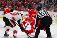 Red Wings vs Senators Feb 14 2019 (7)