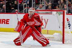 Red Wings vs Senators Feb 14 2019 (8)