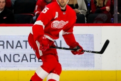 Red Wings vs Senators Feb 14 2019 (9)