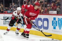 Wings vs Senators March 31 2018 (10)