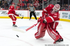 Wings vs Senators March 31 2018 (11)