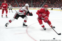 Wings vs Senators March 31 2018 (12)