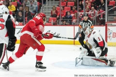 Wings vs Senators March 31 2018 (19)