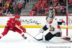 Wings vs Senators March 31 2018 (20)