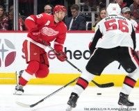 Wings vs Senators March 31 2018 (34)