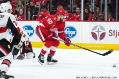Wings vs Senators March 31 2018 (40)