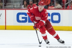 Wings vs Senators March 31 2018 (41)