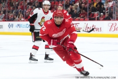 Wings vs Senators March 31 2018 (42)