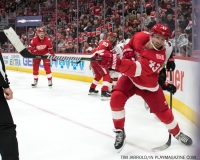 Wings vs Senators March 31 2018 (7)