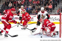 Senators-vs-red-Wings-November-19-2019-10