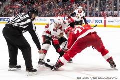 Senators-vs-red-Wings-November-19-2019-12