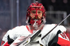 Senators-vs-red-Wings-November-19-2019-14